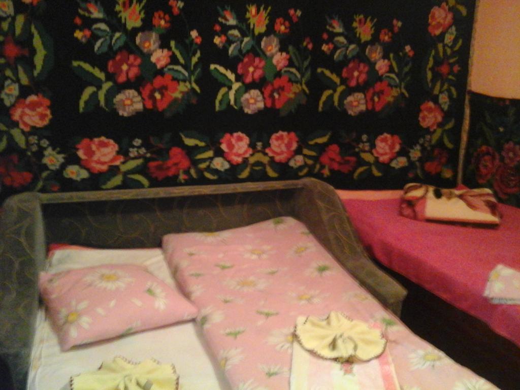 La Popas Hotel Orhei Eksteriør billede